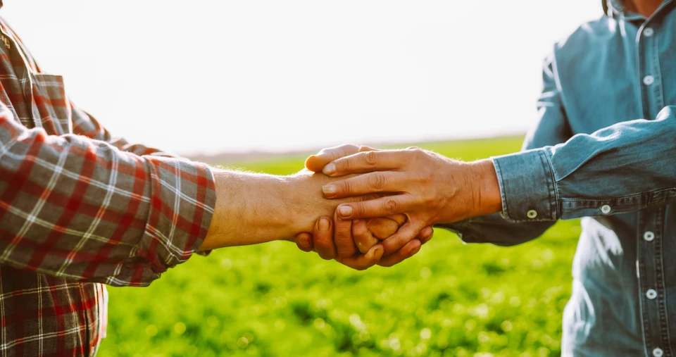 Deux hommes d'affaires en costumes sombres se serrent la main dans un champ agricole verdoyant