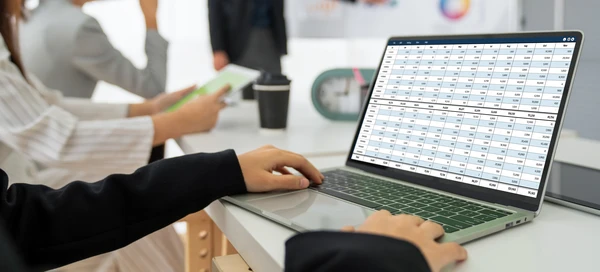 Comptabilité stressante au pays : Couple utilisant un ordinateur portable, assis sur un canapé dans l'appartement